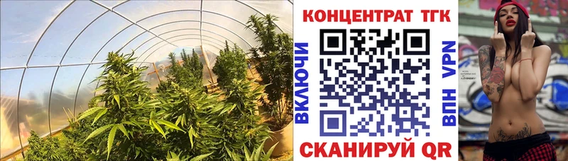Дистиллят ТГК гашишное масло  Приволжский 
