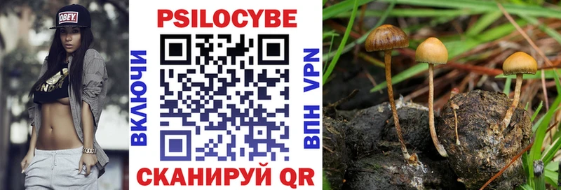 Галлюциногенные грибы GOLDEN TEACHER  мориарти формула  Приволжский 
